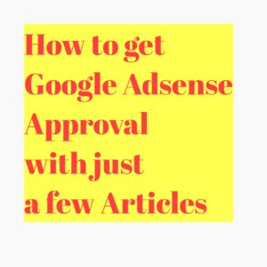 How to get Google Adsense Approval with just a few Articles